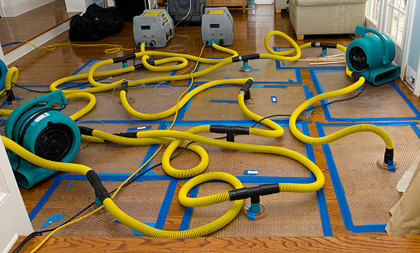 Professional Water Extraction technician working in Newtonsville, OH